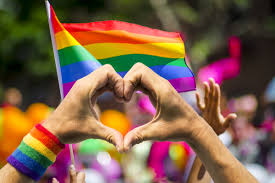 Image result for pride