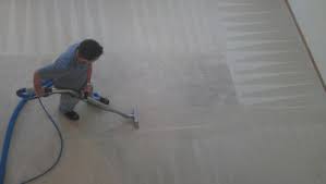 carpet cleaning steve s carpet care
