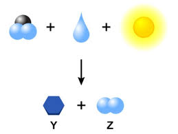 General Equation For Photosynthesis