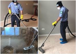 green clean carpet air duct cleaning