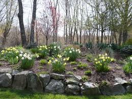 Bulb Garden Landscaping Ideas