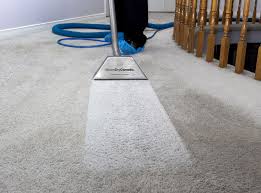 carpet cleaning steam dry canada
