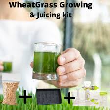 wheatgr growing juicing kits