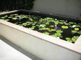 garden pond design