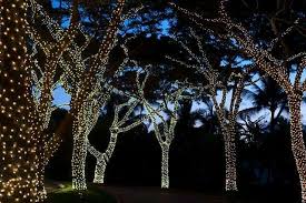 Outdoor Fairy Lights Outdoor Tree