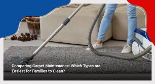 carpet cleaning boas cleaning