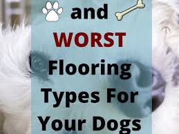 flooring types for dogs