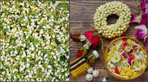 health benefits of jasmin flower