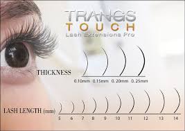 Good To Know The Different Lengths Trangs Touch Eyelash