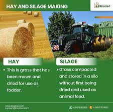 how to make quality hay and silage a