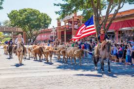 fort worth stockyards what s up fort