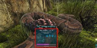 How do you tame a snail in Ark?