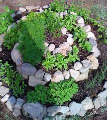 How To Make An Herb Spiral Garden Why
