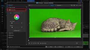 green screen editors with visual effects