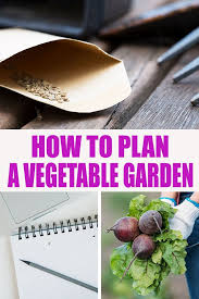 How To Plan A Vegetable Garden In 7