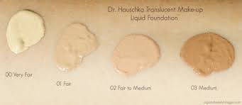 dr hauschka translucent liquid