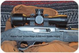 the ruger 10 22 takedown optics project