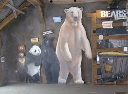 True To Life Polar Bear Height Polar Bear Size Comparison