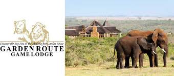 Garden Route Game Lodge Businesses In