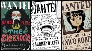One Piece Wanted Posters Explained