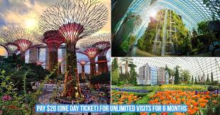 to flower dome cloud forest at the