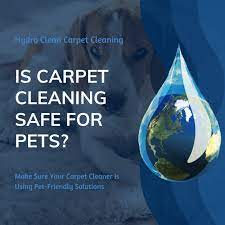 is carpet cleaning safe for pets
