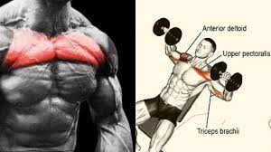 best 5 upper chest exercises with