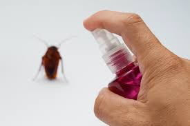 5 natural roach repellents bug