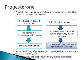 Journey Of Progesterone Structure Functions And Clinical