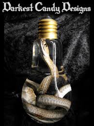 Snake in Lightbulb Jar - Wet Specimen by DarkestCandyDesigns on DeviantArt