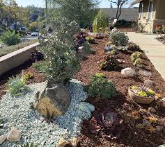 Drought Tolerant Garden Archives