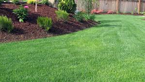 A A Lawn Care Landscaping