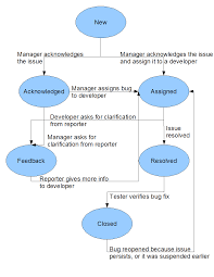 Mantis Bug Life Cycle Flow Diagram Articles