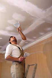 Diffe Types Of Ceilings