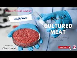 cultured meat or lab grown meat you