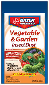 garden insect dust garden insect