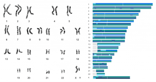 Meet Your Chromosome Painting 23andme Blog