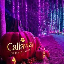 pumpkins at callaway gardens at pine