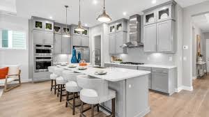 cresswind wesley chapel by kolter homes