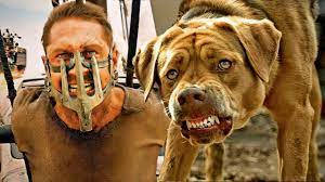 كلب قوي كون عصابة من الكلاب الشرسة🐶وانتقـم من البشر بطريقة غريبة🔥 -  YouTube