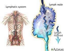 swollen lymph nodes information mount