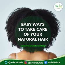 Getting black hair has its root from. Easy Ways To Take Care Of Your Natural Hair Avila Naturalle