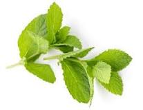 How much is a sprig of mint?