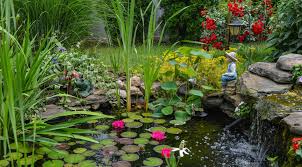 save with simon s garden pond