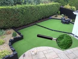treat mould or moss on artificial grass