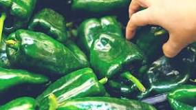 Are Chile Poblanos good for you?