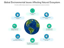 global environmental issues affecting