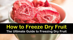Put them inside a plastic bag, then sandwich them between two layers of dry ice. 5 Quick Ways To Freeze Dry Fruit