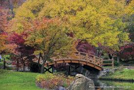 Tips For A Beautiful Japanese Garden