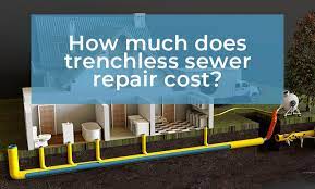 Trenchless Sewer Repair Cost